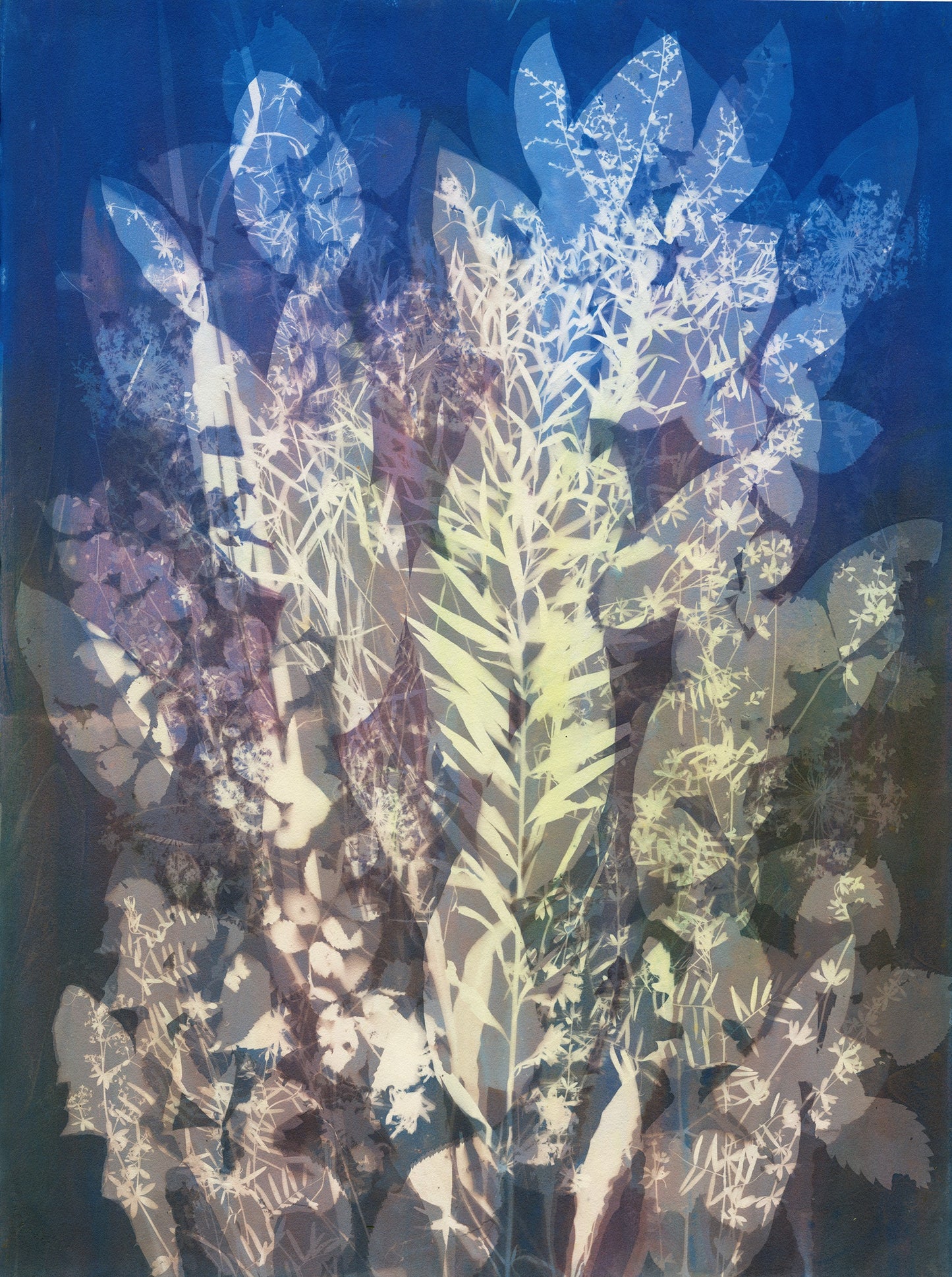 Lucie Wellner - Field Composition 1