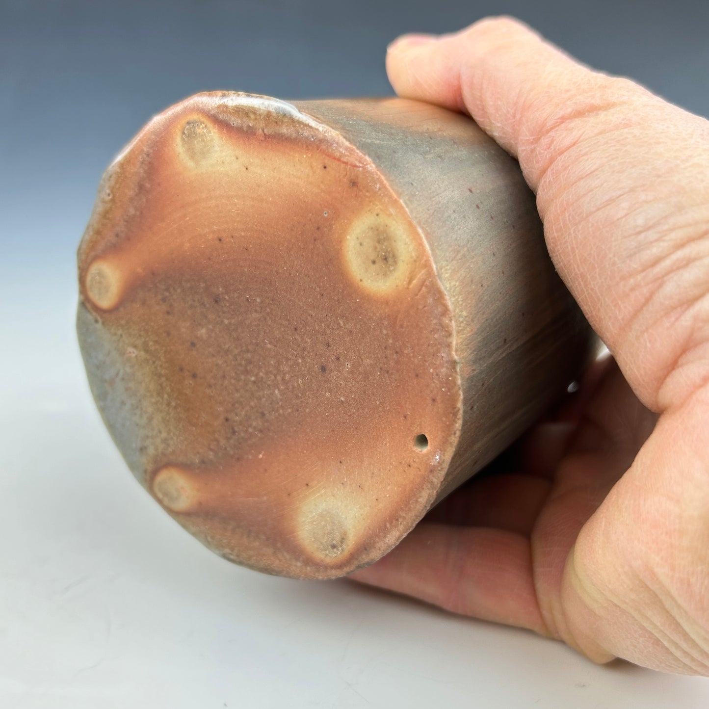 Simon Levin - MUG #4