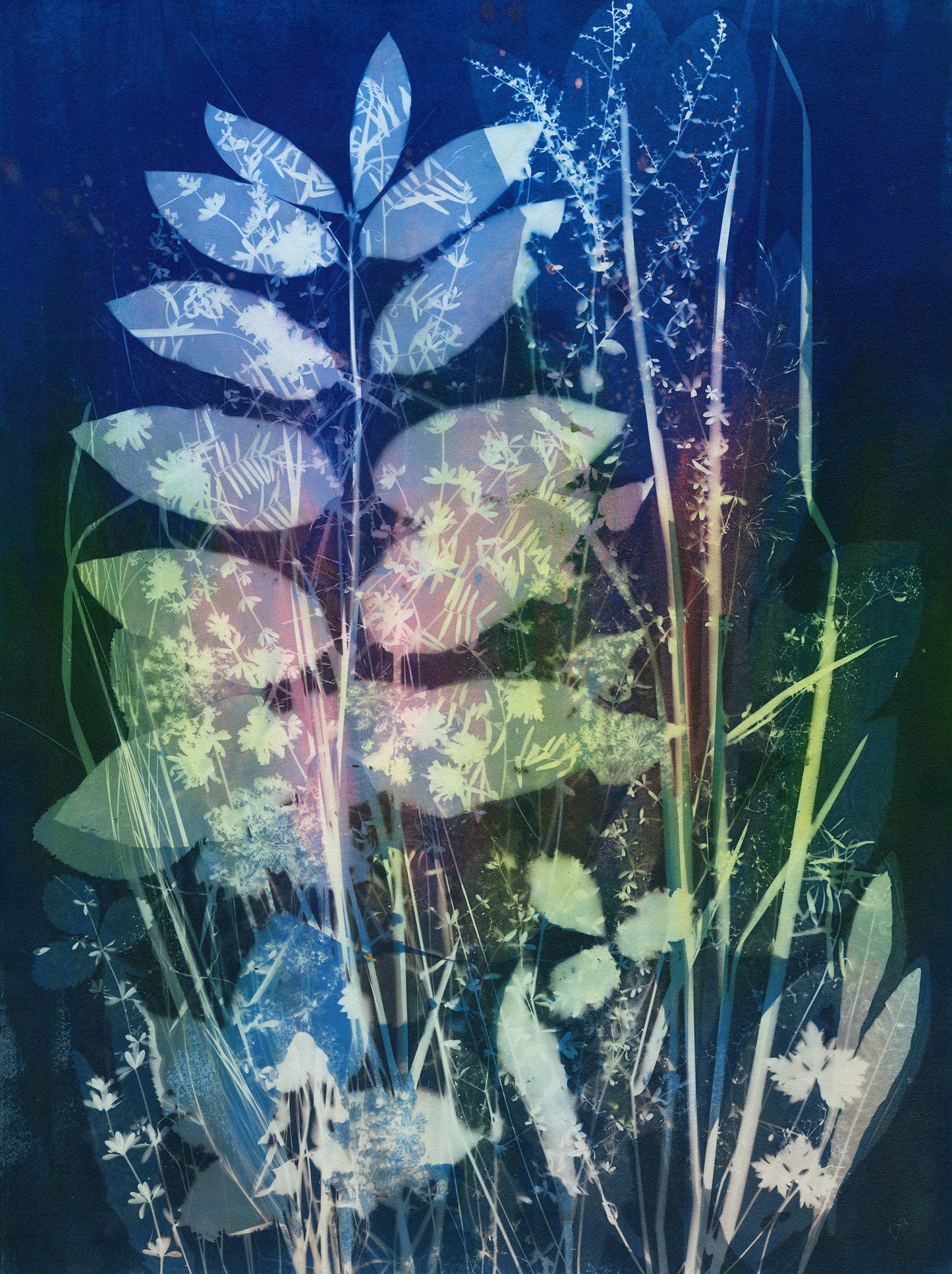 Lucie Wellner - Field Composition 2