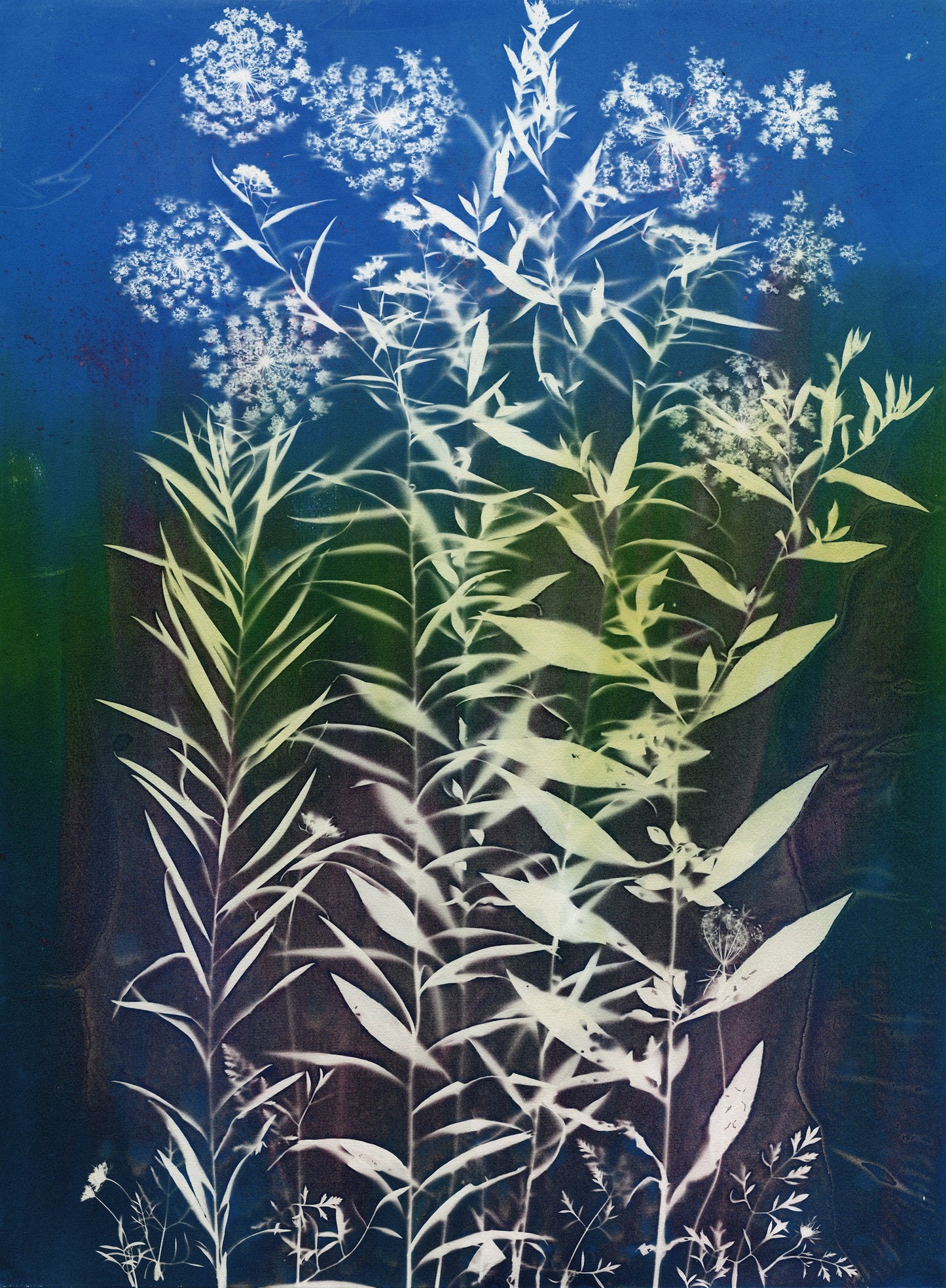 Lucie Wellner - Solar Jungle 4